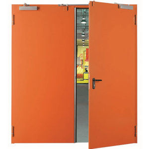 Противопожарная техническая дверь / серия FRM33259